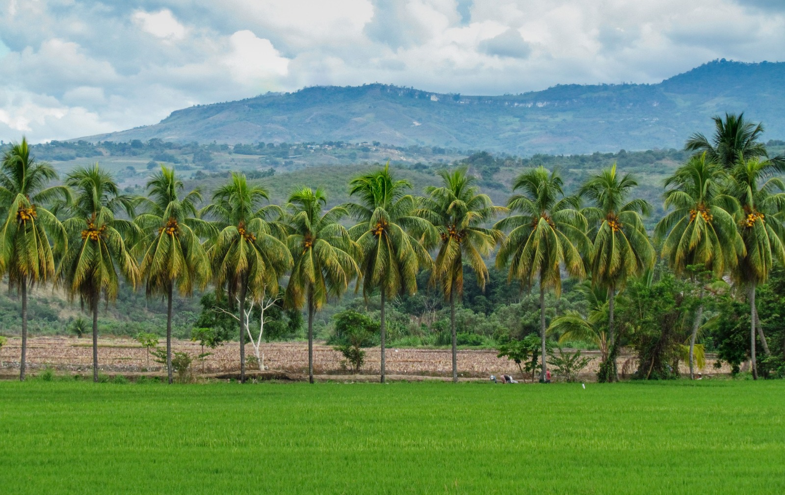 Agriculture Property